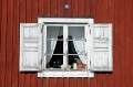 DSC_0110 1_out